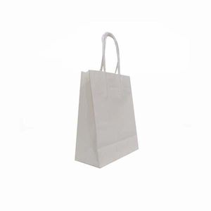 Eco-Kraft Paper Bag Medium Portrait - W240 x H310 x G110 (AR8021)