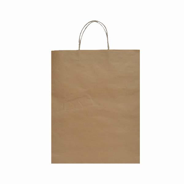 Eco-Kraft Paper Bag Large, 320Wx380H