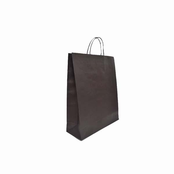 Eco-Kraft Paper Bag Small, 180Wx220H