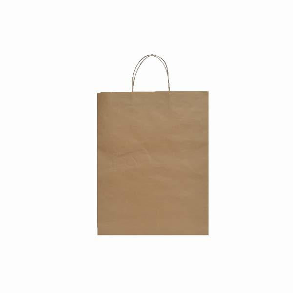 Eco-Kraft Paper Bag Small - W180 x H220 x G80 (AR8020-MAIN)