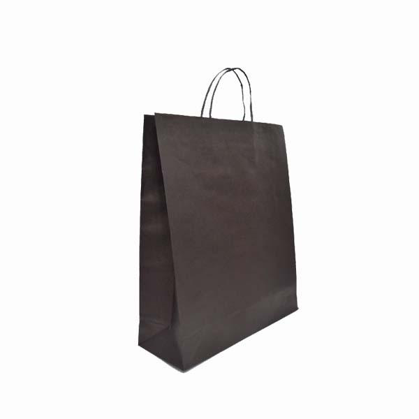 Eco-Kraft Paper Bag Medium Portrait, 240Wx310H