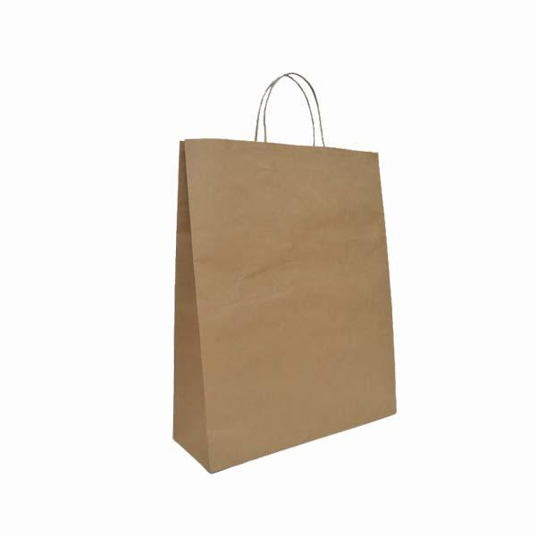 Eco-Kraft Paper Bag Medium Portrait - W240 x H310 x G110 (AR8021-MAIN)