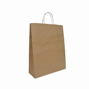 Eco-Kraft Paper Bag Medium Portrait - W240 x H310 x G110 (AR8021)