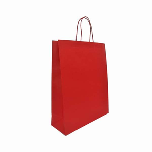 Eco-Kraft Paper Bag Medium Portrait - W240 x H310 x G110 (AR8021)