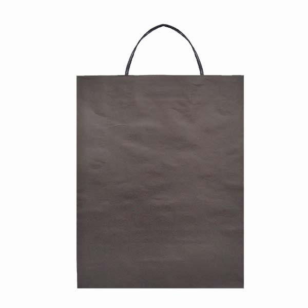 Eco-Kraft Paper Bag Large, 320Wx380H