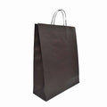 Eco-Kraft Paper Bag Extra Large, 370Wx460H