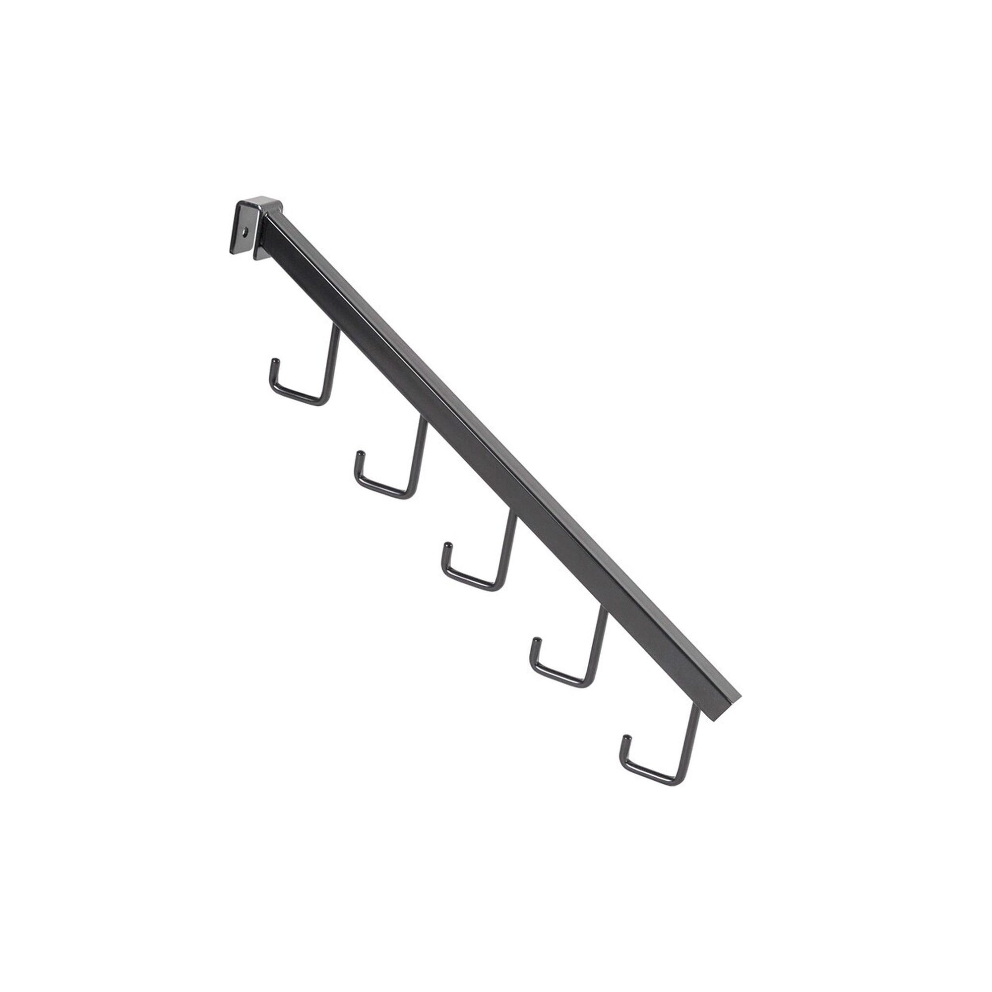 MAXe Backrail Angled Arm with 5 Hooks - L405
