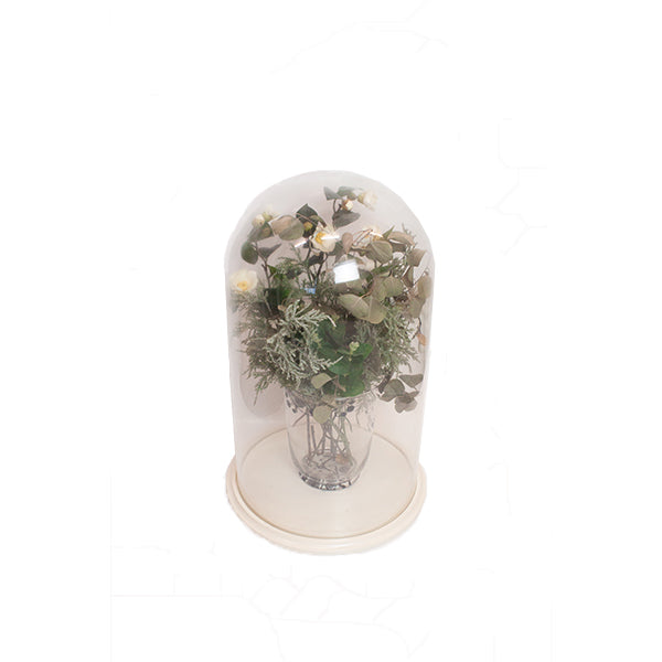 RENTAL Glass Dome Showcase (RENTSC3)